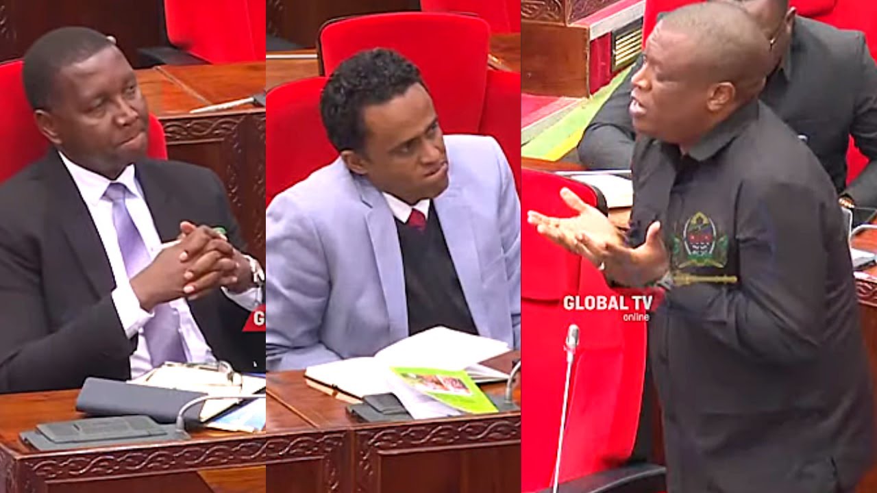 Nape Ataka Kuundwa kwa Bodi ya Korosho – Video - Global Publishers