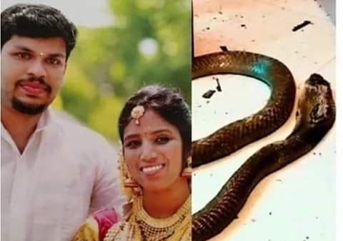 Amuua Mkewe kwa Kumtupia Nyoka Cobra - Global Publishers