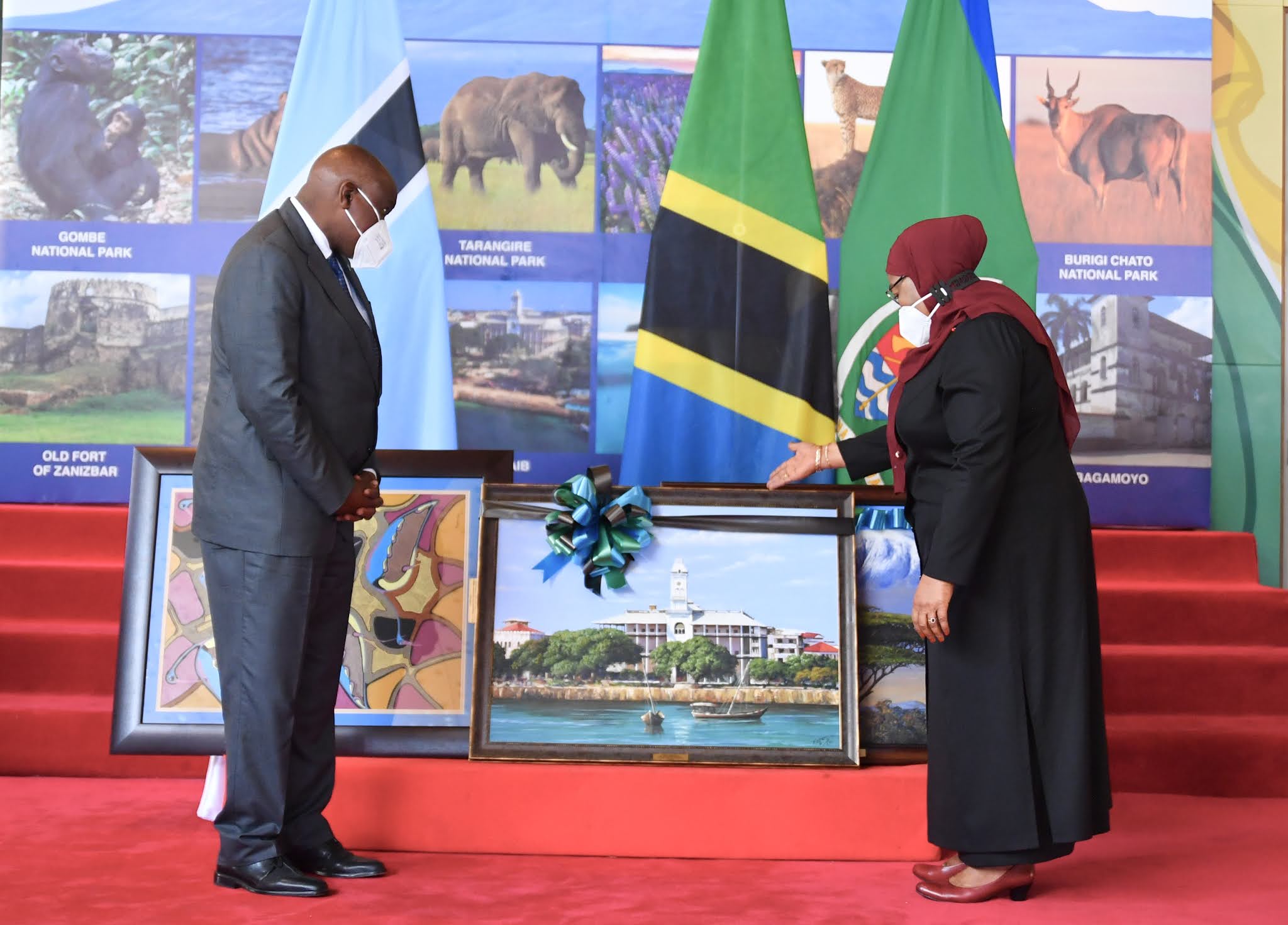 Video: Rais Samia anahutubia muda huu mbele ya Rais wa Botswana, Ikulu DSM. - Global Publishers