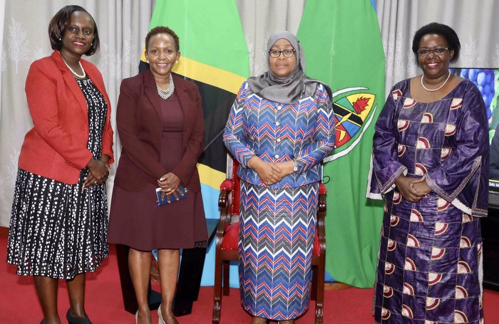 Rais Samia Akutana na Mtendaji wa UNEP – Video - Global Publishers