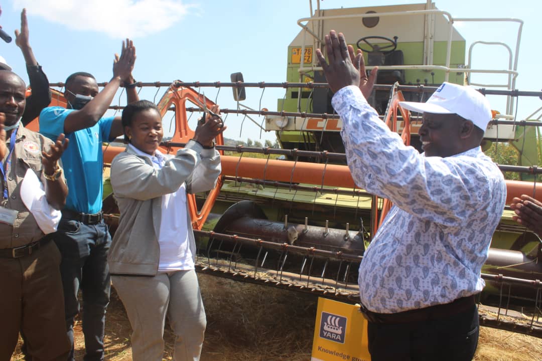 Msimu Mpya Wa Shayiri, Neema Kwa Wakulima - Global Publishers