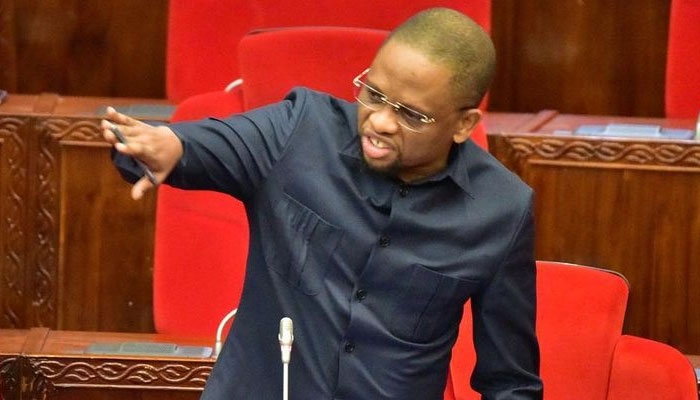 Mwana FA Ateuliwa Kuwa Naibu Waziri wa Utamaduni Sanaa na Michezo - Global Publishers