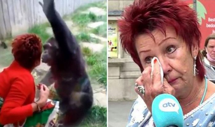 Yamkuta Kisa Mahusiano ya Kimapenzi na Sokwe - Global Publishers