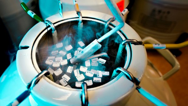 Mayai ya Uzazi Kuhifadhiwa Kwenye Barafu Hadi Miaka 55 - Global Publishers