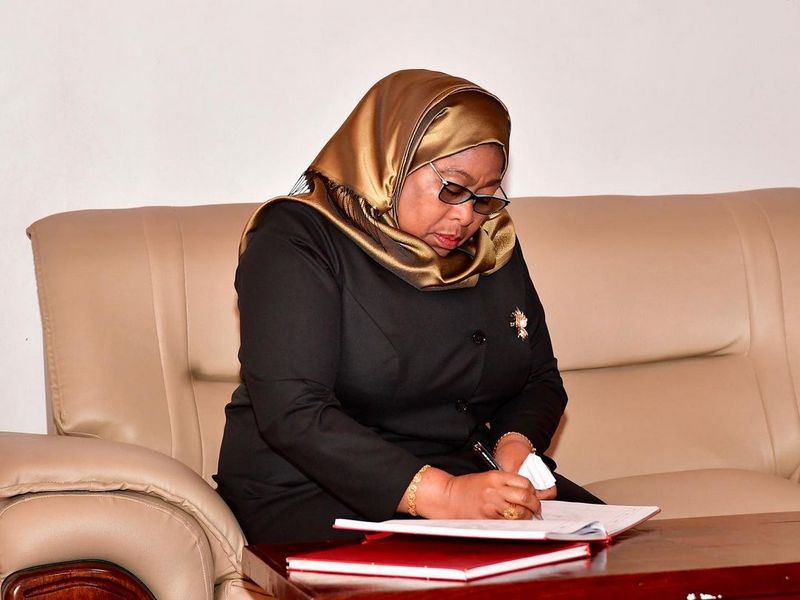 Rais Samia Afanya Uteuzi - Global Publishers