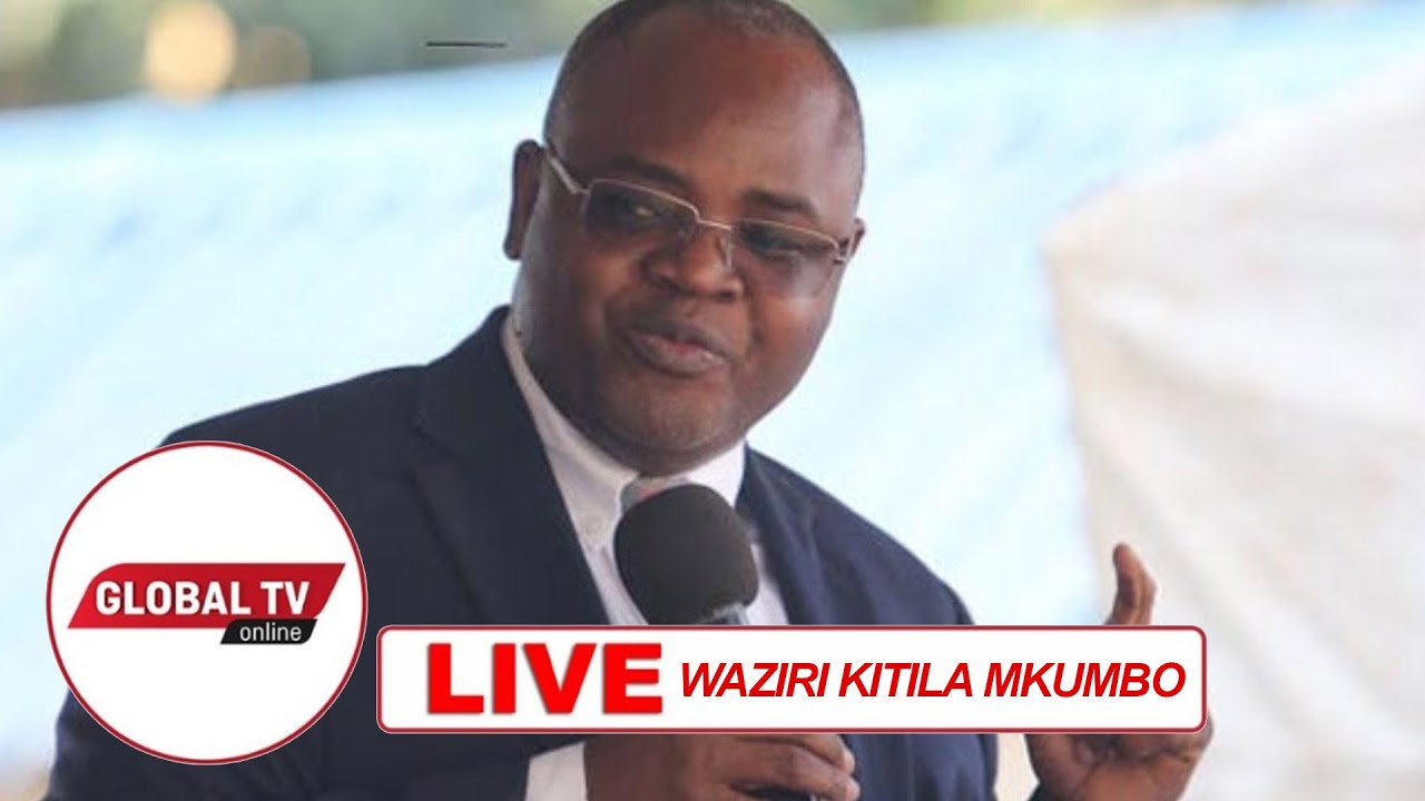 Waziri Kitila Mkumbo Anazungumza Muda Huu-Video - Global Publishers