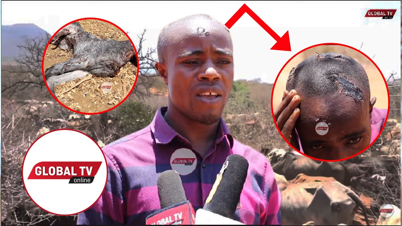 Wakulima Na Wafugaji Wapasuana-Video - Global Publishers