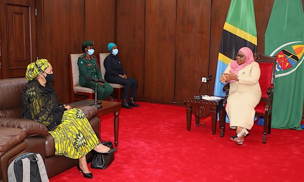 Rais Samia Afanya Mazungumzo na Naibu Katibu Mkuu UN - Global Publishers