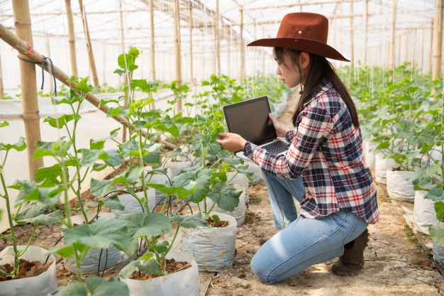 Nafasi Za Kazi 8 Tanzania Cotton Board, Agricultural Officer II (Transfer Vacancy) - Global Publishers