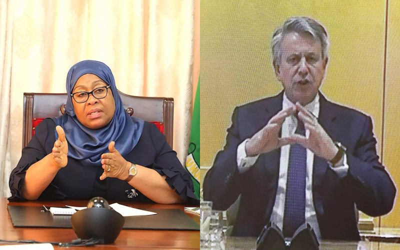 Rais Samia Azungumza na Mtendaji Mkuu wa Royal Dutch Shell - Global Publishers