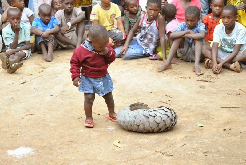 Maajabu! Kakakuona Aonekana Kibaha – Video - Global Publishers