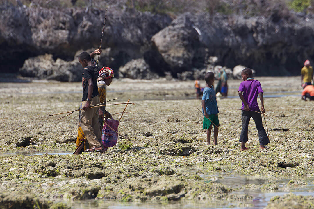 Nafasi Za Kazi 3 MPRU kwa Marine Conservation Warden - Global Publishers