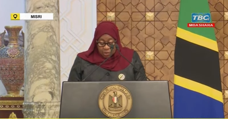 Mambo 7 Aliyoyazungumza Rais Samia Misri - Global Publishers