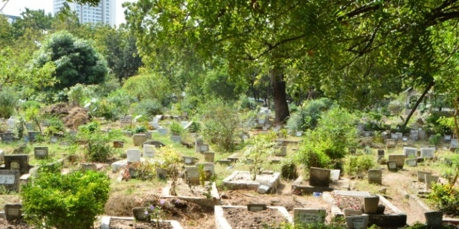 Makaburi 200 Kuhamishwa Vingunguti - Global Publishers