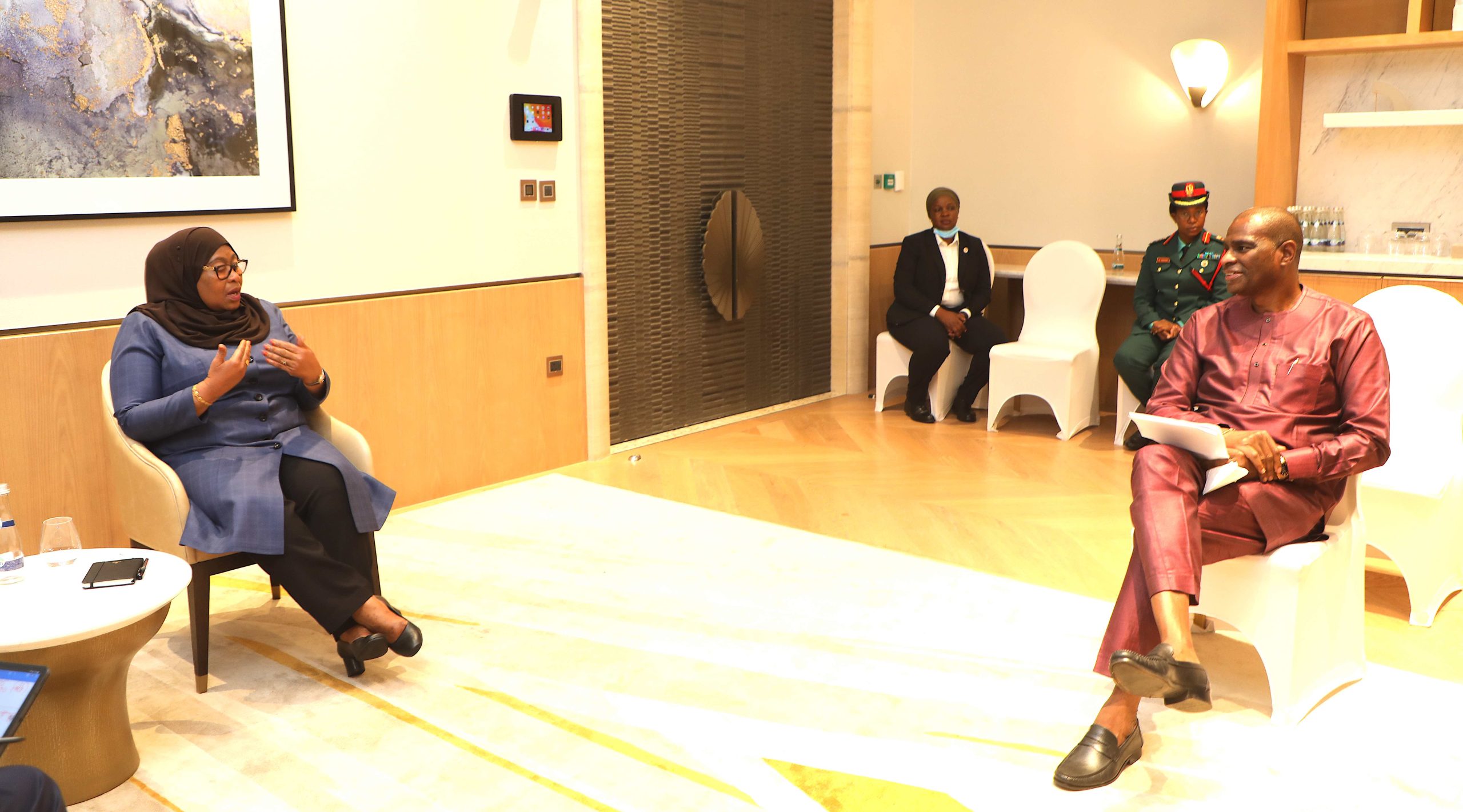 Rais Samia Suluhu  Azungumza na Mtendaji Mkuu wa Airtel