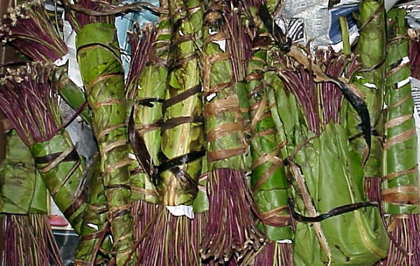 Mjomba Amng’oa Kucha Mpwa wake kwa Madai ya Kuiba Mirungi - Global Publishers