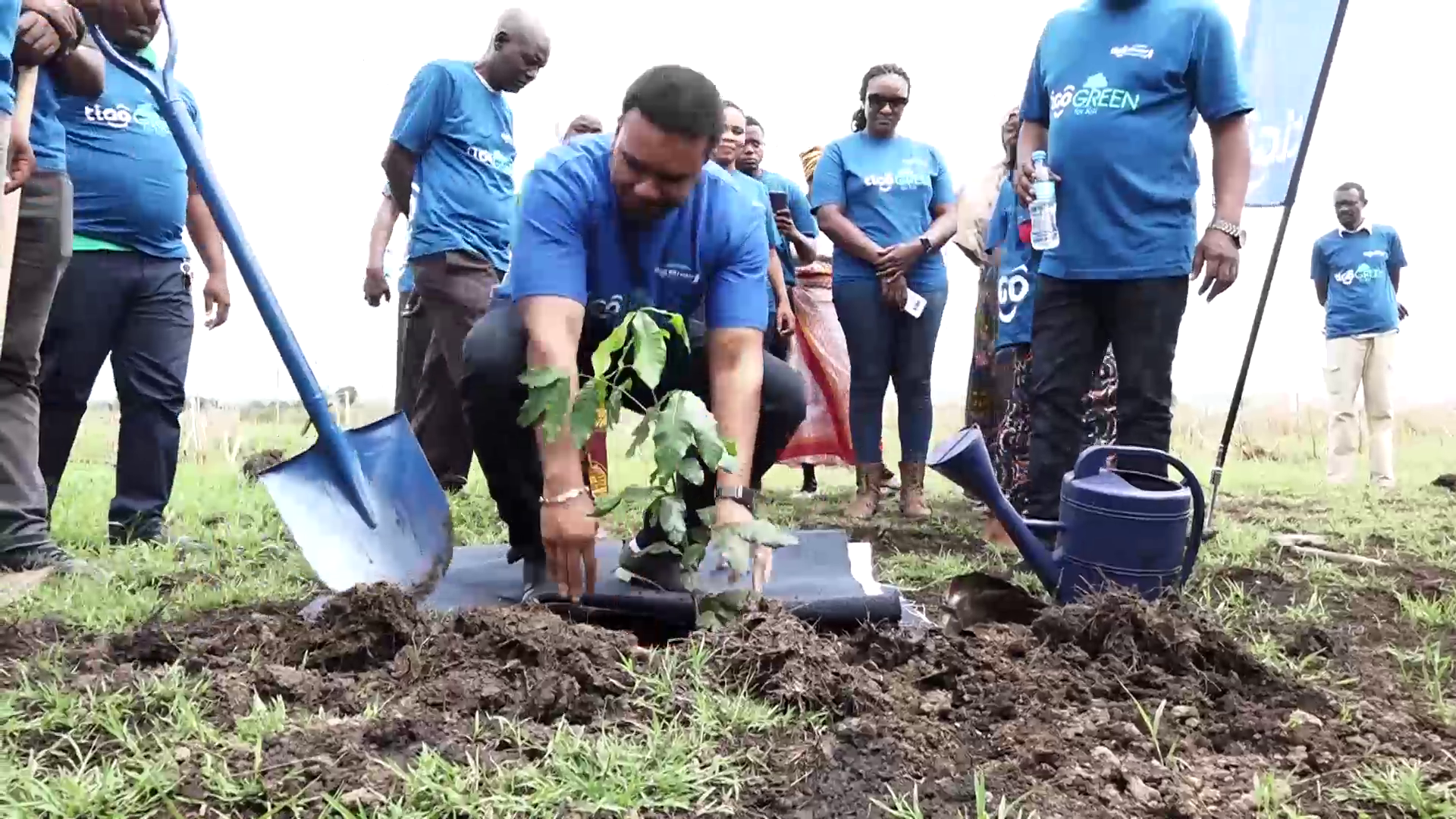 Tigo Wazindua Awamu ya Pili Mradi wa “Tigo Green For Kili, One Step One Tree” Kilimanjaro - Global Publishers