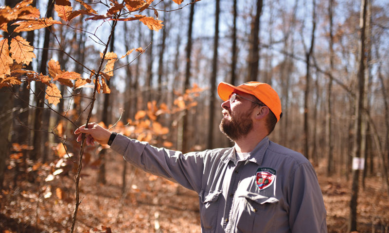 Nafasi za Kazi 21 TFS, Forest Assistant - Global Publishers