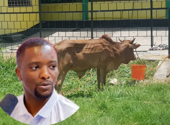 Ng’ombe wa Mayele awaibua Simba