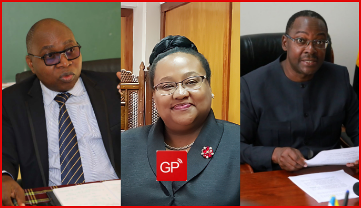 Rais Samia Afanya Mabadiliko Madogo ya Baraza la Mawaziri - Global Publishers