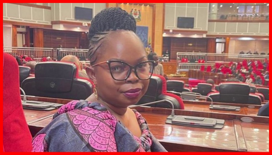 Ratiba ya Kuaga Mwili wa Marehemu, Irene Alex Ndyamkama, Bungeni Dodoma - Global Publishers