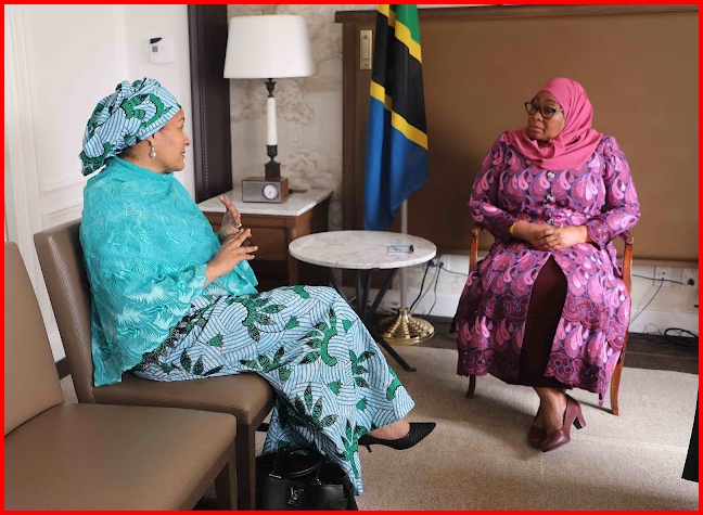 Rais Samia Azungumza na Naibu Katibu Mkuu wa Umoja wa Mataifa New York Marekani