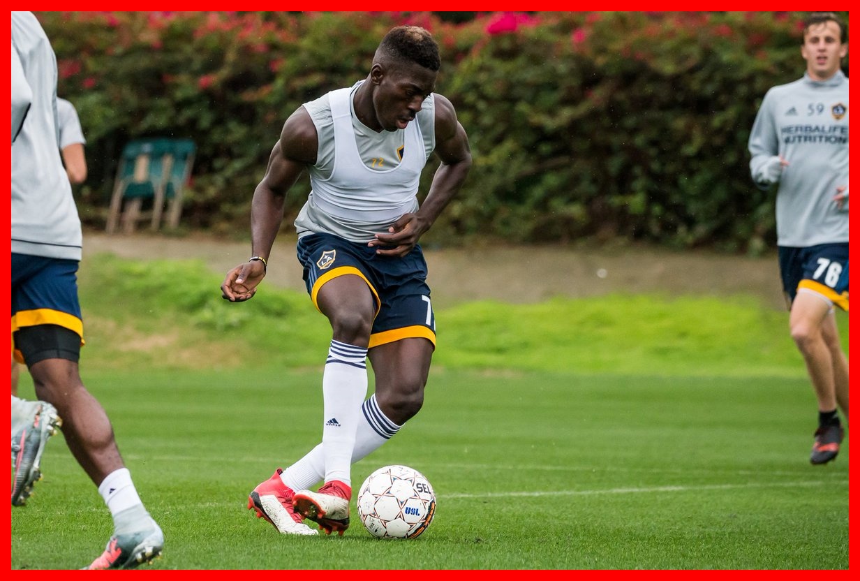 Simba Yatua Kwa Beki la Kazi Raia wa Cameroon Amecheza LA Galaxy ya Marekani - Global Publishers