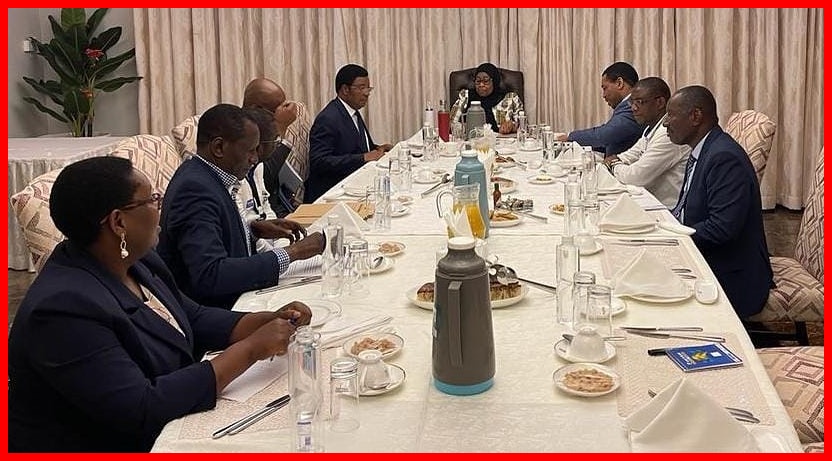 Rais Samia Aitisha Kikao cha Dharura Ikulu Kujadili Tatizo la Kupanda kwa Bei ya Mafuta - Global Publishers