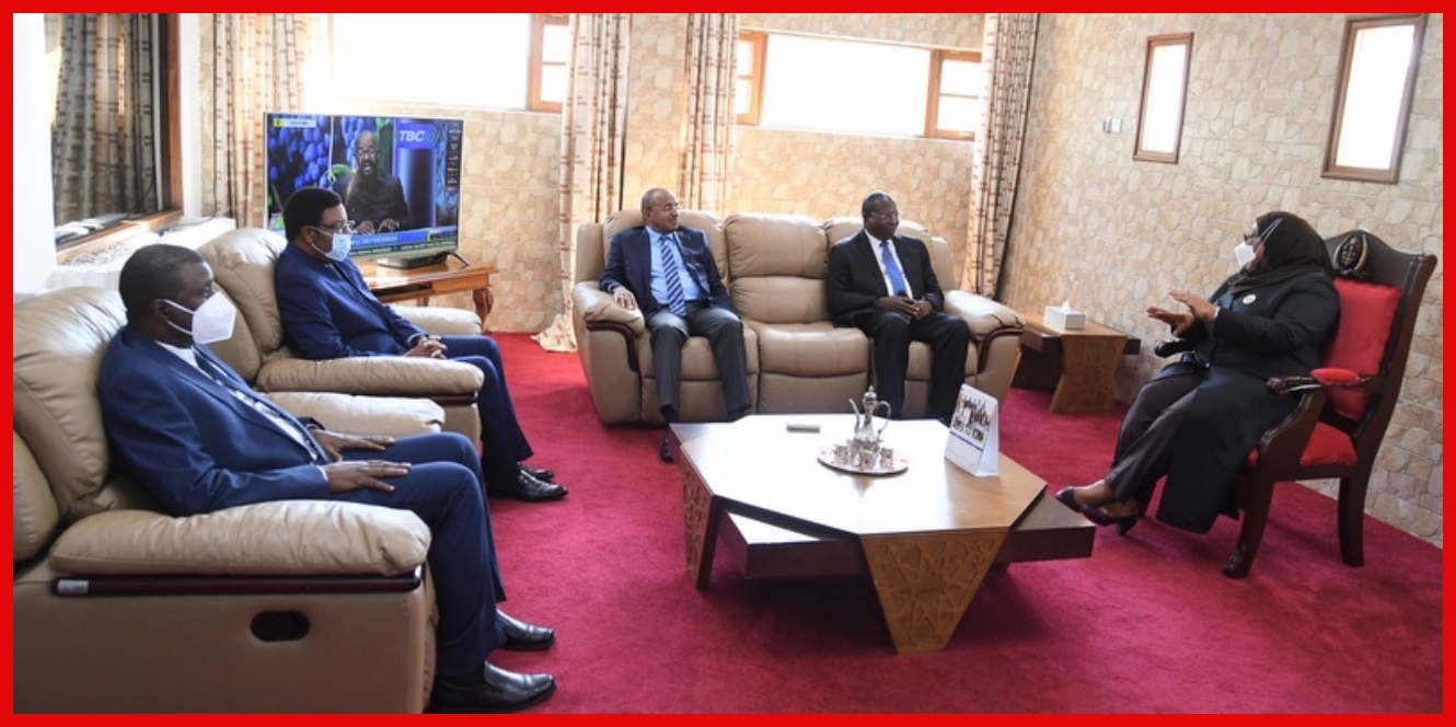 Rais Samia Awasili Zanzibar Baada ya Kuhitimisha Ziara Yake Nchini Oman na Saudi Arabia - Global Publishers