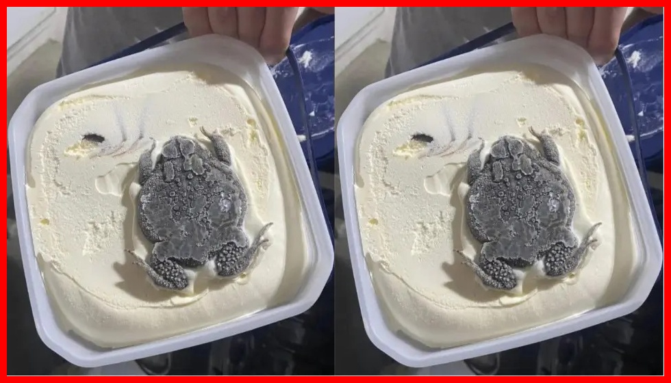 Anunua Ice Cream ya Kopo na Kukuta Chura Ameganda, Adai Imetoka Kama Ilivyo Kiwandani