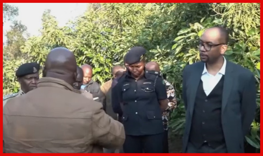 Wakulima wa Parachichi Nchini Wala Shavu, Waaswa Kutoogopa Ushindani wa Soko - Global Publishers