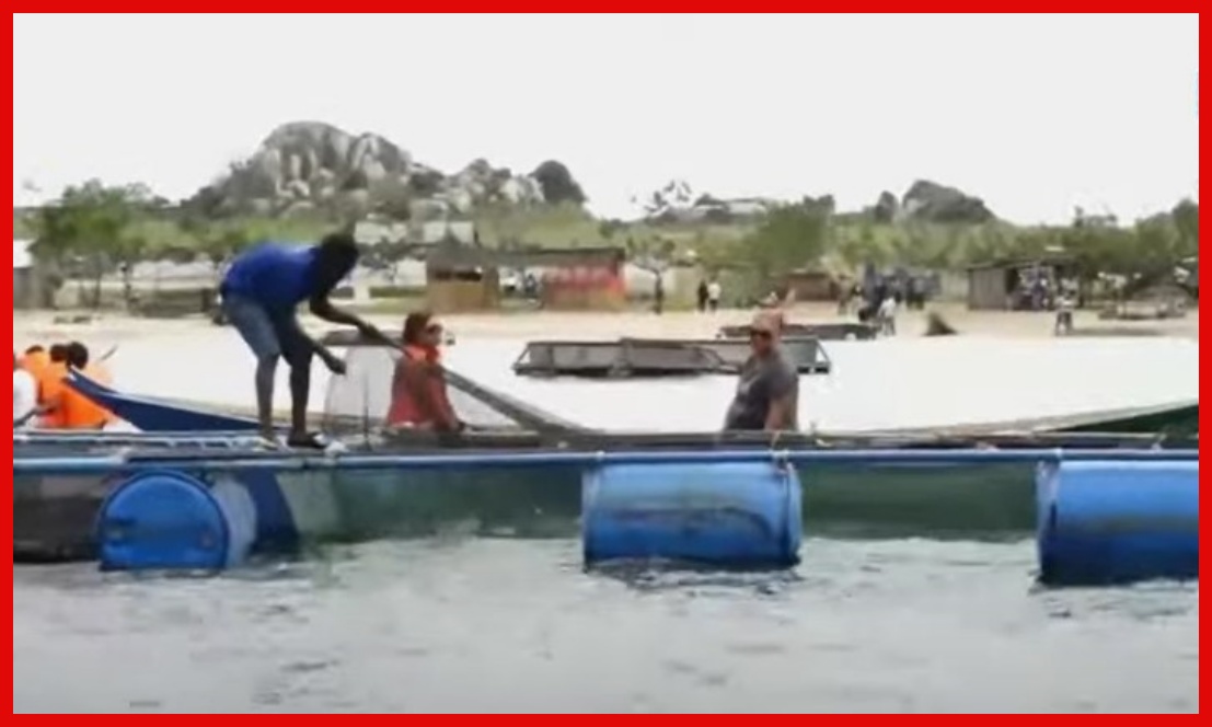 Neema Yawashukia Wavuvi Jijini Mwanza, Serikali Yatenga Fedha za Mikopo - Global Publishers