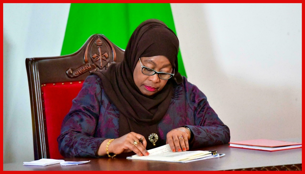 Rais Samia Afanya Uteuzi wa Wenyeviti wa Bodi Kuanzia Agosti 23 Mwaka Huu - Global Publishers
