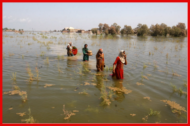 Ongezeko la Mambo Yanayosababishwa na Binadamu Yazidisha Mafuriko Pakistan - Global Publishers