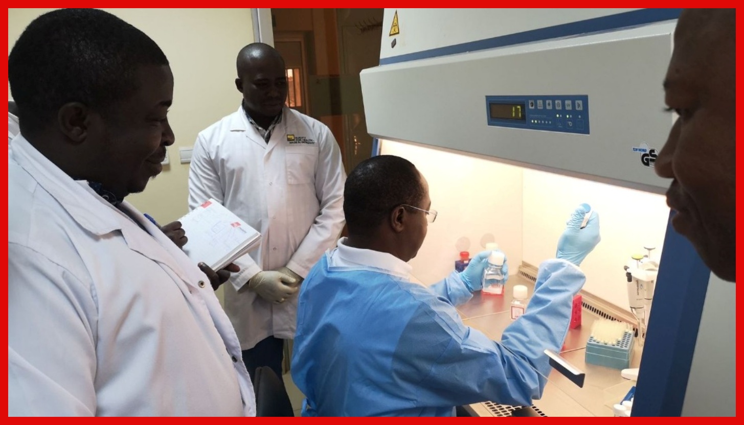 Chanjo Mpya ya Malaria Yaweza Kupunguza Vifo kwa Asilimia 70% Ifikapo 2030 - Global Publishers