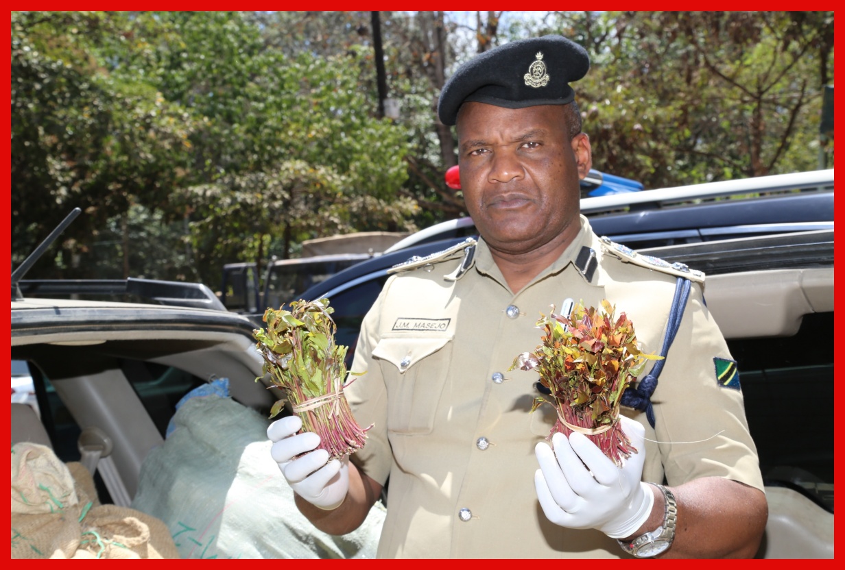 Akamatwa Akisafirisha Madawa ya Kulevya, Atumia Dawa za Kienyeji Kuwakwepa Askari - Global Publishers