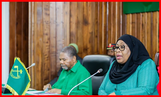 Rais Samia na Mwenyekiti wa CCM Aongoza Halmashauri Kuu ya Taifa (NEC), Dodoma - Global Publishers