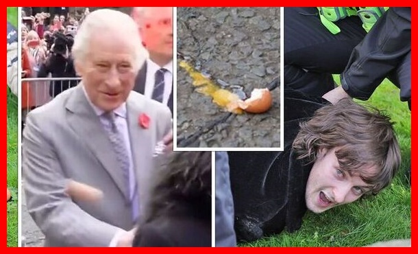 Kijana Akamatwa Baada ya Kumrushia Mfalme Charles Mayai Yorkshire Kaskazini - Global Publishers