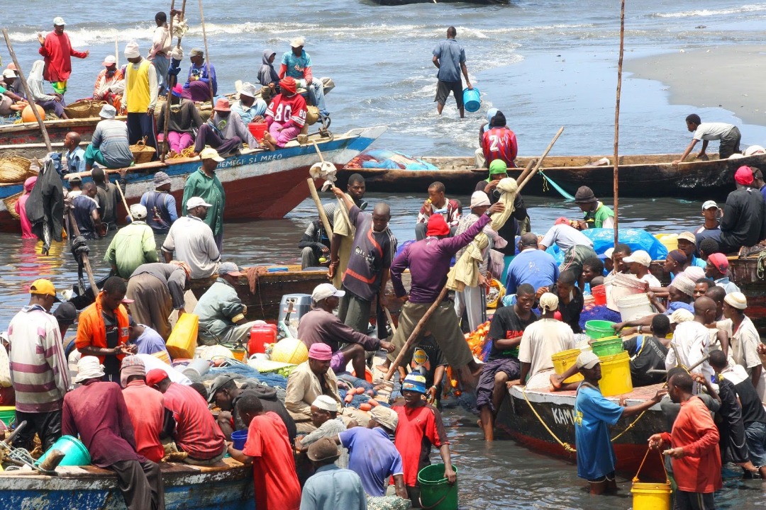 Sekta ya Uvuvi; Masoko ya Nje ya Nchi Yatakavyopaisha Uchumi wa Tanzania - Global Publishers