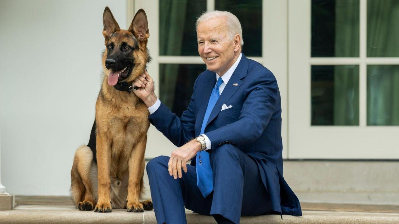Mbwa wa Rais Joe Biden Atimuliwa Ikulu Kwa Kuwang’ata Wafanyakazi na Walinzi - Global Publishers