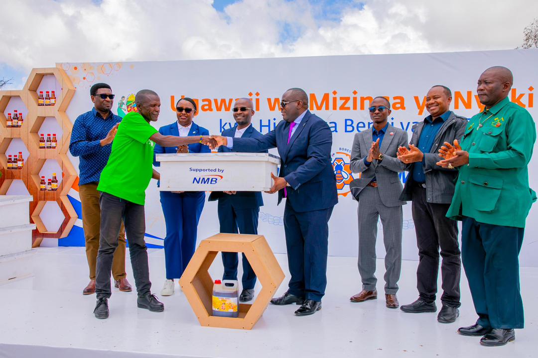 Waziri Wa Maliasili Na Utalii, Angellah Kairuki Akabidhi Mizinga 200 Kwa Wafugaji - Global Publishers