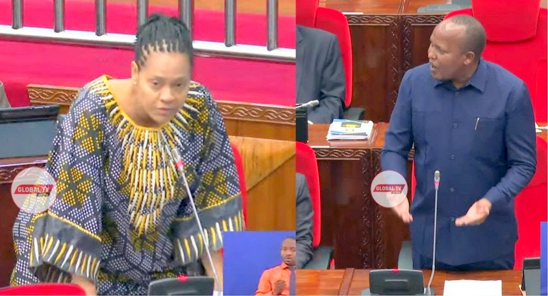 Serikali Yatoa Ufafanuzi Mifugo Iliyokamatwa Serengeti na kupigwa Mnada – Video - Global Publishers