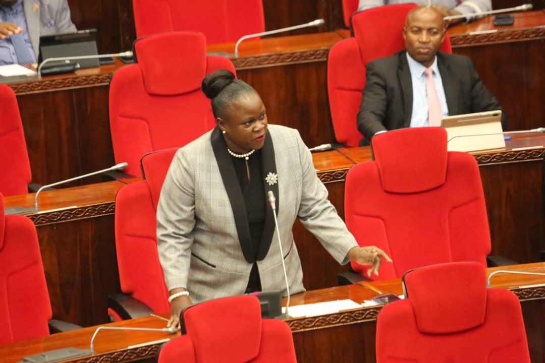 Mradi wa Bwawa la Mwalimu Nyerere Kuondoa Tatizo la Mgao wa Umeme - Global Publishers