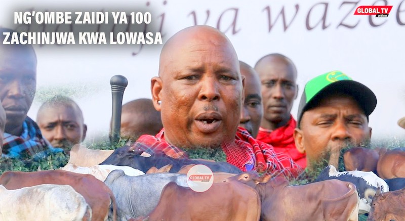 Msiba Wa Lowassa Monduli; Ng’ombe 100 Zachinjwa Na Viongozi Wa Mila – Video - Global Publishers