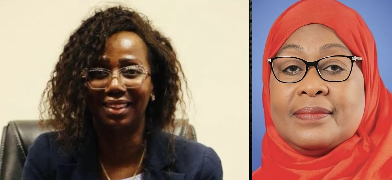 Rais Samia Amteua Christine Gideon Mwakatobe kuwa Mkurugenzi Mtendaji wa AICC - Global Publishers