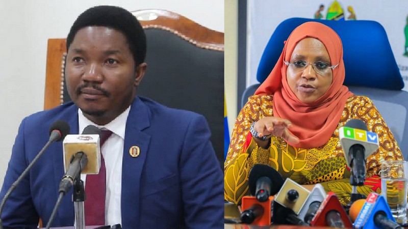 Rais Samia Amteua Jafo kuwa Waziri wa Viwanda na Biashara, Dkt. Ashatu kuwa Waziri wa Nchi, Ofisi ya Makamu wa Rais (Muungano na Mazingira) - Global Publishers