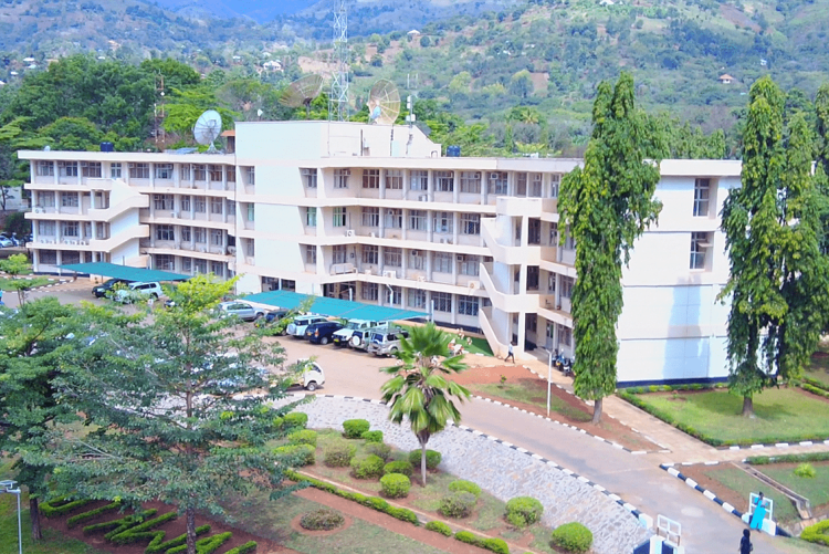 Nafasi Za Kazi Chuo Kikuu Cha Kilimo Sokoine (SUA) Mwisho wa Maombi Agosti 15, 2024 - Global Publishers