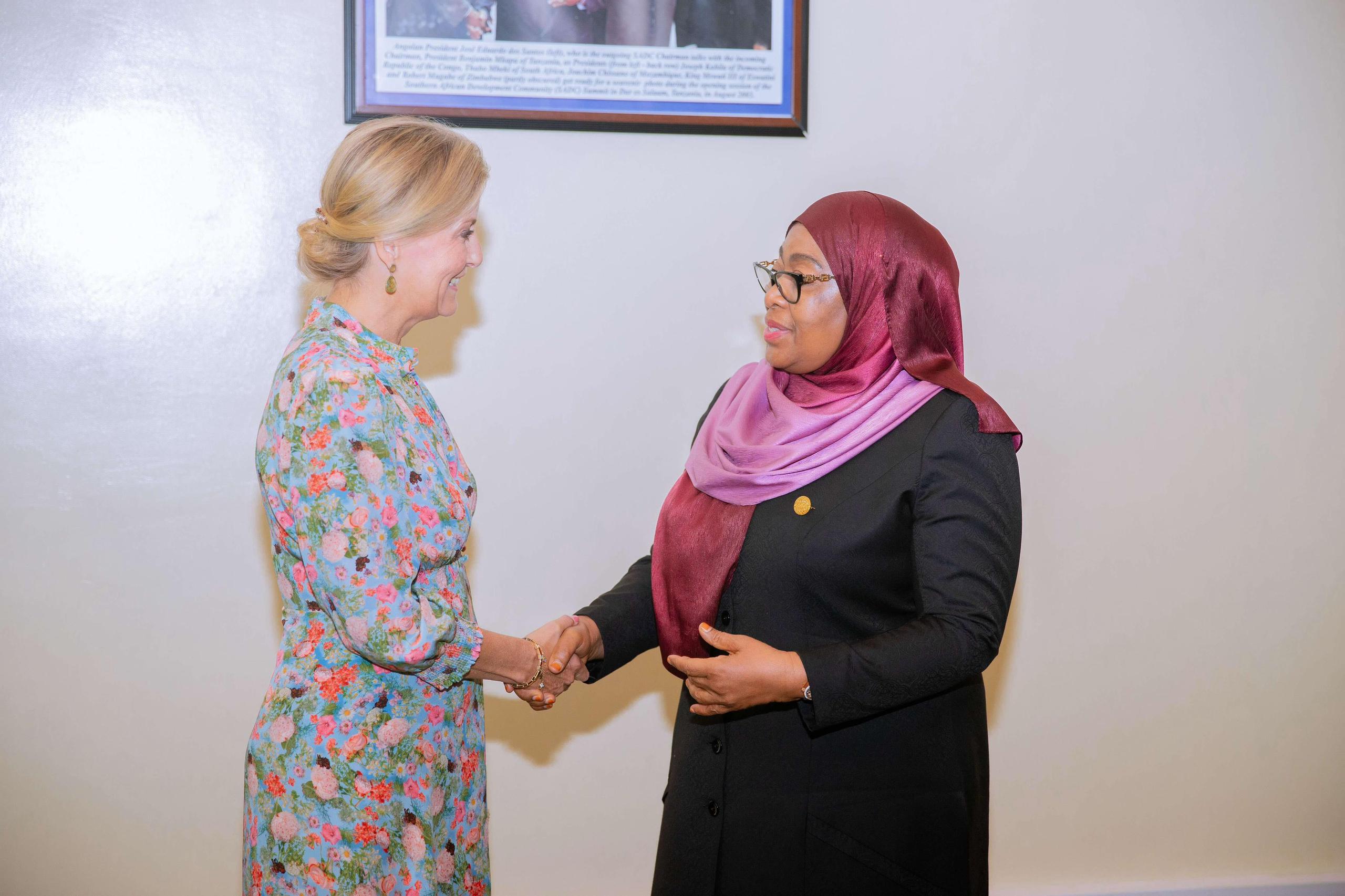 Rais Dkt. Samia Akutana na Kuzungumza na Princess Sophie - Global Publishers