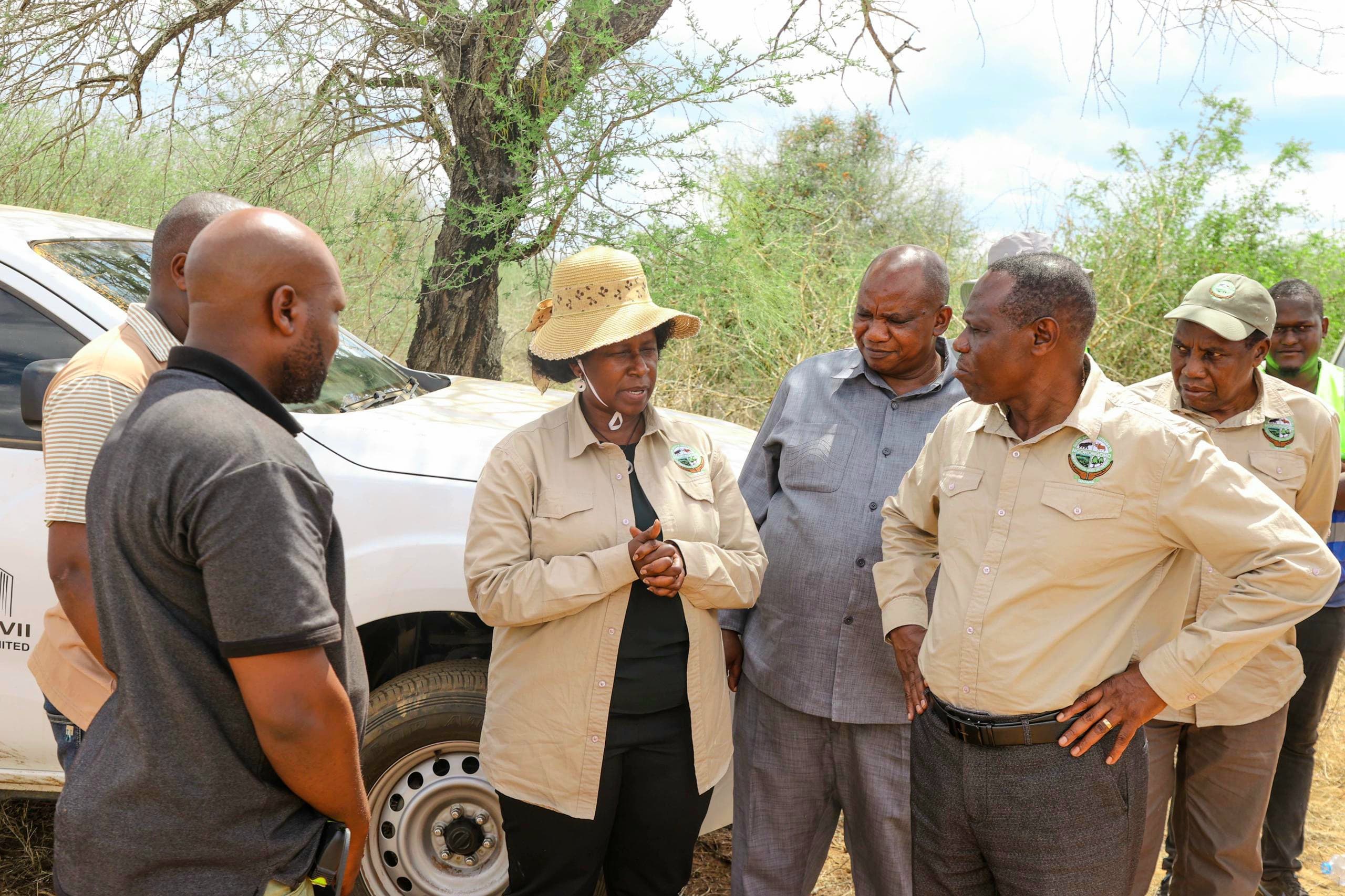 Nyumba 2,500 Zakamilika Msomera Tanga, Usambazaji Wa Umeme Wafikia Asilimia 98 - Global Publishers