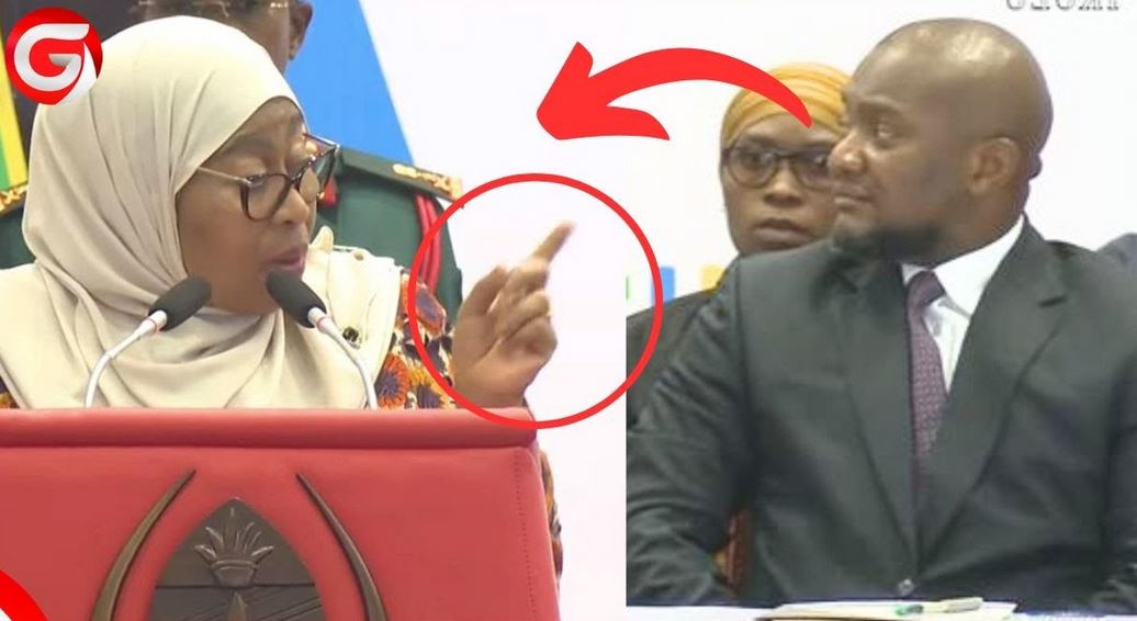 Rais Samia Amuonya Waziri Mchengerwa Kusimamia Mapato ya Serikali – Video - Global Publishers